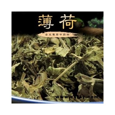 薄荷 选货 产地 重庆市县巫山县