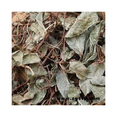 诺源药材行中药材优质正品平地木 不出林 四叶茶