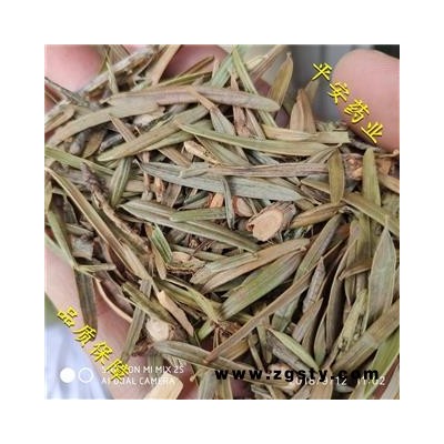 平安药业 三尖杉 尖松 岩杉 榧子 血榧 石榧 水柏子 藏杉 桃松