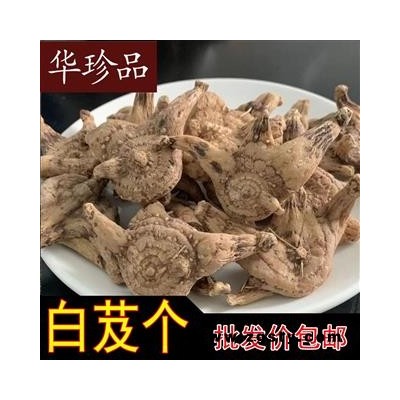 白芨 06 贵州三叉白芨个 统 产地 贵州省