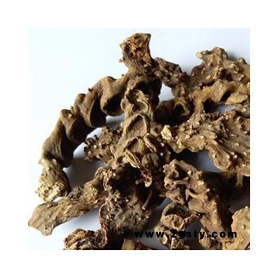 精品八角莲统货别名旱八角 叶下花 一把伞 质量好 价格低 产地直销 产地 湖北省