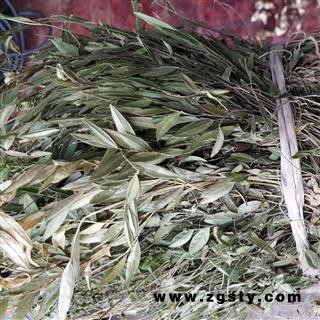 瓜子金正品野生瓜子金中草药 来马回 勒马回 辰砂草 惊风草统货 产地 贵州省毕节市纳雍县