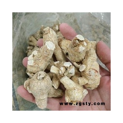 西洋参 西洋参粒头10-20g 花旗参 白参 人参 产地 海外