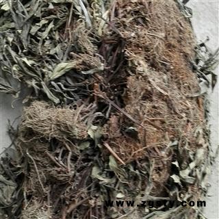 追风伞 一把伞 公接骨丹 正品 促销 统 产地 贵州省毕节地区纳雍县
