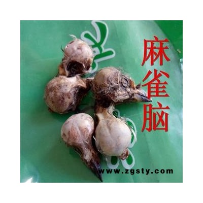 煜庭药业 雀脑 正品 褪毛雀脑 麻雀脑 雀脑袋 麻雀头