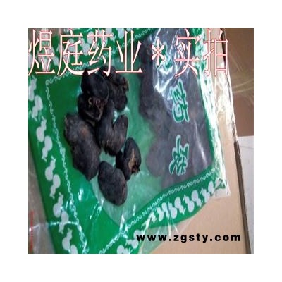 煜庭药业 獭肝 水狗肝 水獭肝