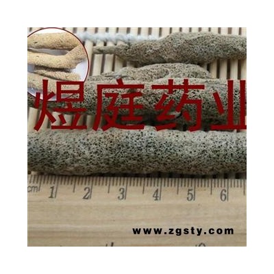 煜庭药业 紫梢花 紫稍花 淡水海绵