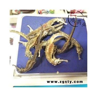 海马 进口海马2g 产地 江苏省无锡市南长区