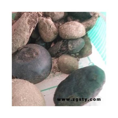 诺源药材行山羊草结 牛羊草结  羊胲子 西西格