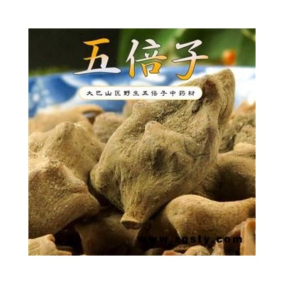五倍子 统货 产地重庆市巫山县
