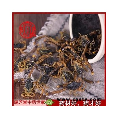 全蝎 山西陕西盐水全蝎秋货 药典正品 中药材 瑞芝堂产地直供1000克 规格齐全 一站购齐