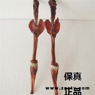 鹿鞭鹿鞭片鹿鞭礼盒整枝鹿鞭重量约80克
