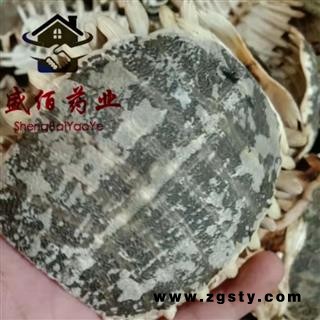 鳖甲 优质， 产地 江苏省盐城市滨海县