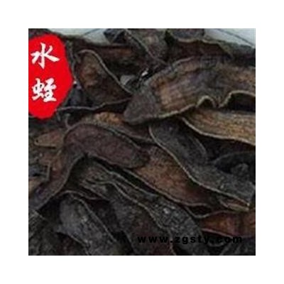 水蛭 水蛭货好 足干 颜色好 干 产地 江苏省