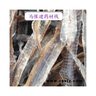 地龙 广地龙全开个 产地 广西壮族自治区