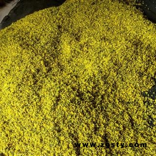 野菊花 野菊花统货 产地 河南省南阳市