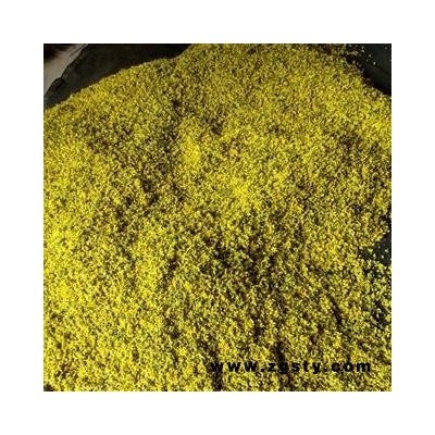 野菊花 野菊花统货 产地 河南省南阳市