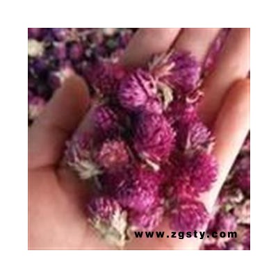 诺源药材行中药材优质花茶千日红 火球花 百日红