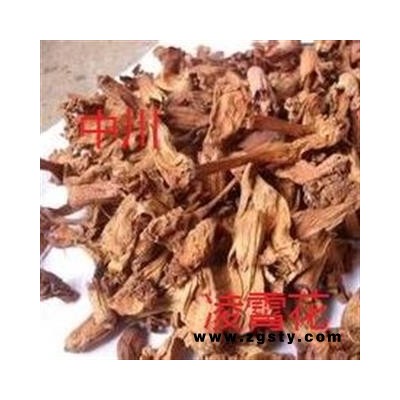 凌霄花 正品 紫葳 红花倒水莲 倒挂金钟 上树龙 堕胎花 藤萝花