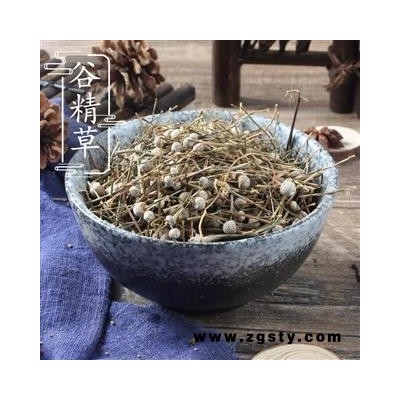 谷精草 统货 产地 天津市县静海县
