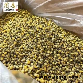 胎菊 无杂无沫无硫 批发各种道地中药材