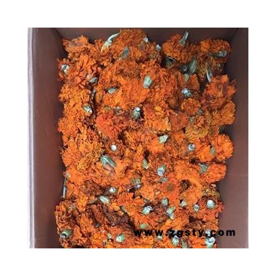 诺源中药材优质万寿菊  黄花干花