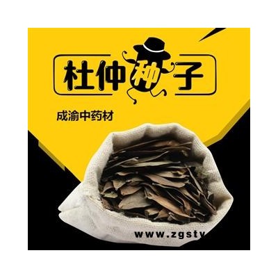 杜仲种子