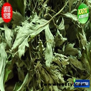 艾叶 手捡大片 产地 河南省南阳市