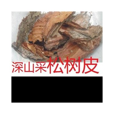 松树皮深山现剥 选 产地 湖北省黄冈市麻城市另有松枝、松树根