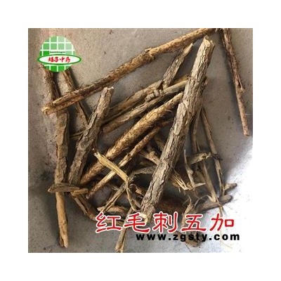 红毛刺五加皮 抽芯红毛刺五加个子 产地 四川省 买好药找娟子