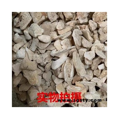 实图拍摄新货水洗锻龙骨炒锻龙骨 产地 甘肃省