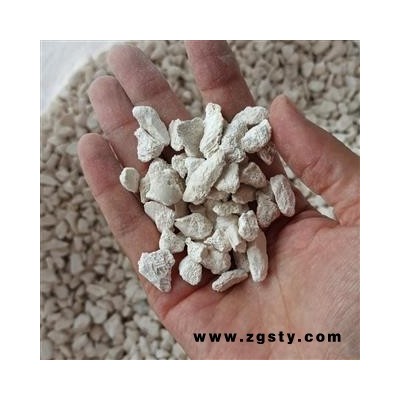 京辉药业 龙骨 水洗 选 带蜂窝 小颗粒