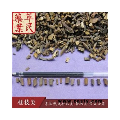 草民甄选桂枝尖 纯细尖 经方必备 生切桂枝尖 专业批发 量大从优