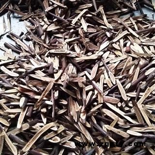 皂角刺 手工剪片老刺纯刺无杆 产地 河南省平顶山市汝州市