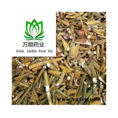 精品柳寄生选货  质量好 价格低 产地直销  产地 广西壮族自治区