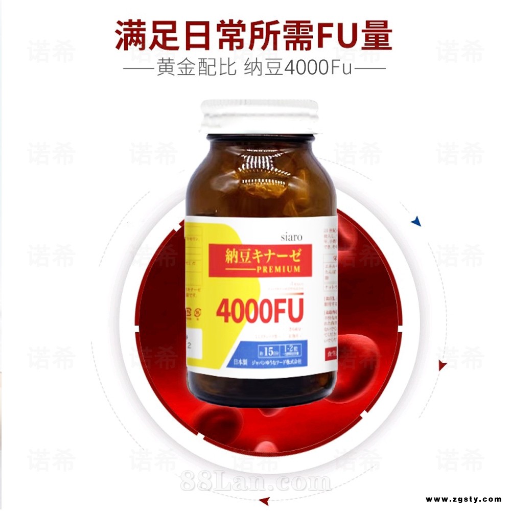 纳豆激酶
