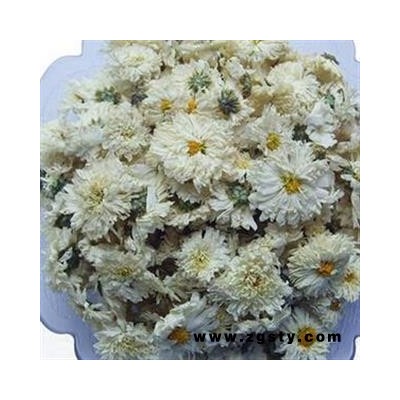 贡菊 统 产地 安徽省