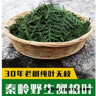 新鲜侧柏叶纯叶无树枝秦岭野生侧柏叶扁柏叶防脱生发密发增发500g
