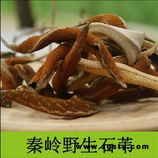 秦岭野生石苇中药材石韦中药店干石韦2019新货精选干石苇自然无硫