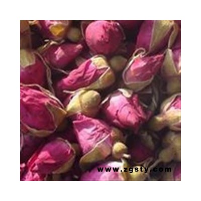 玫瑰花 山东玫瑰王 产地 山东省菏泽市成武县