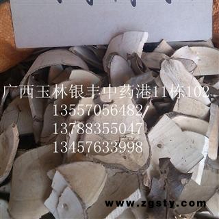 枸骨叶 统货 产地 广西壮族自治区玉林市市辖区