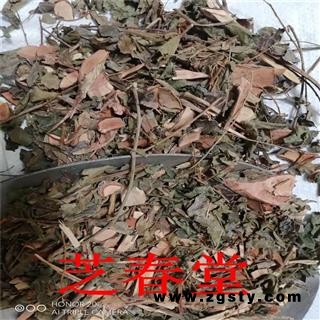 中药材漆大姑 毛漆 毛七哥 毛七公 大毛七 中草药漆大姑