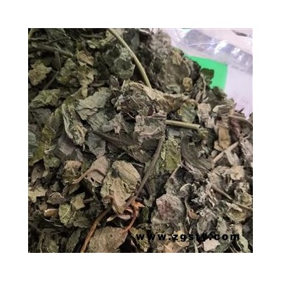诺源药材行优质楮树叶 楮叶  枸树叶