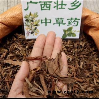广西壮乡中草药 野生 含量高 小叶 石苇 石韦 产地 广西柳州市融水苗族自治县