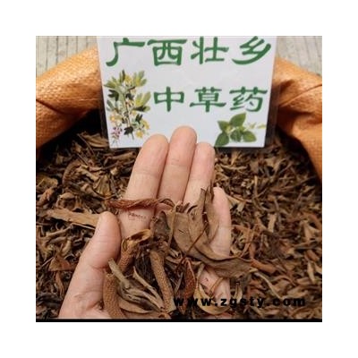 广西壮乡中草药 野生 含量高 小叶 石苇 石韦 产地 广西柳州市融水苗族自治县