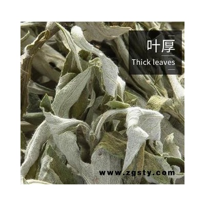 中药材 艾叶 正品中药材批发零售