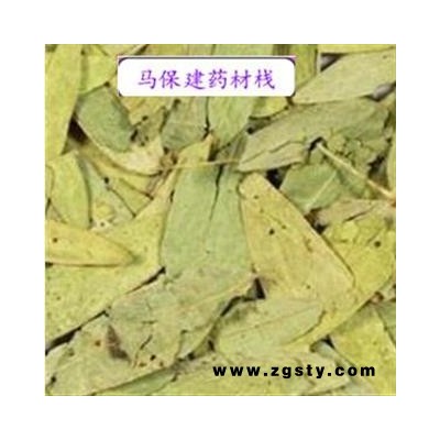 番泻叶 番泻叶统货 产地 广西壮族自治区