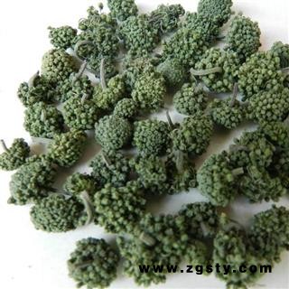 特级云南文山三七花