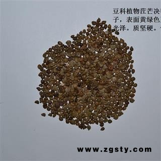 灵吉药业  望江南  凤凰草 羊角豆 正品 地道药材 货真价实 批发零售