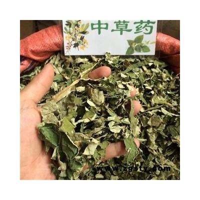 广西壮乡中草药 荷叶 荷叶统丝 新货 产地 广西柳州